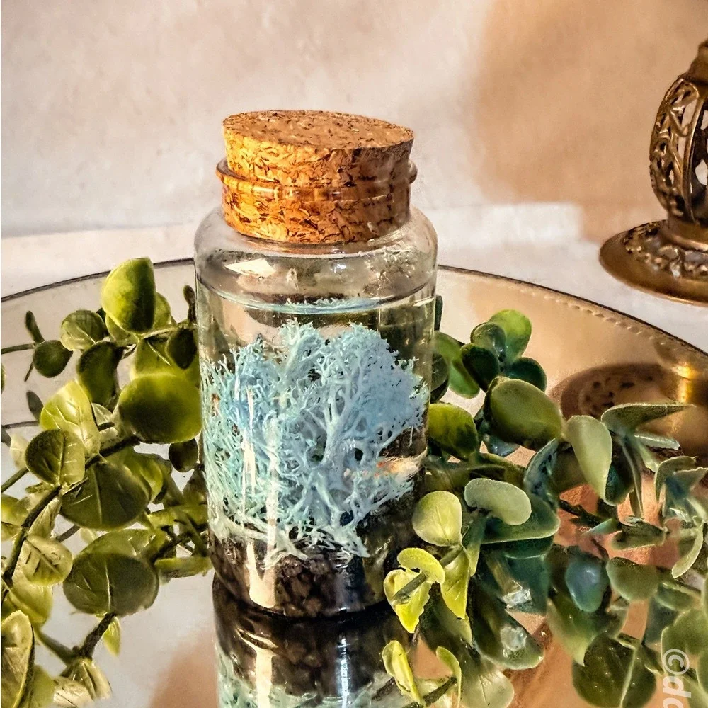 Mini Seahorse and Fish Aquarium